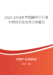 2025-2031年中國草坪燈行業(yè)市場研究及前景分析報告