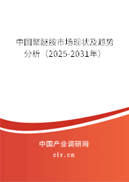 中國(guó)聚醚胺市場(chǎng)現(xiàn)狀及趨勢(shì)分析（2025-2031年）