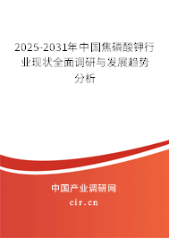 2025-2031年中國焦磷酸鉀行業(yè)現(xiàn)狀全面調(diào)研與發(fā)展趨勢分析