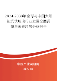 2024-2030年全球與中國太陽能光伏玻璃行業(yè)發(fā)展全面調(diào)研與未來趨勢分析報告