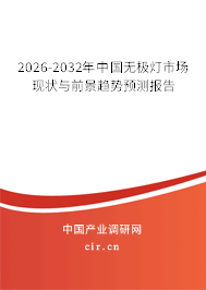 2026-2032年中國無極燈市場現(xiàn)狀與前景趨勢預測報告