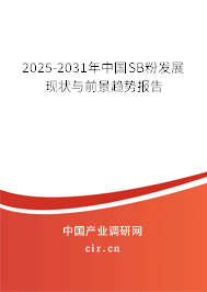 2025-2031年中國SB粉發(fā)展現(xiàn)狀與前景趨勢報告