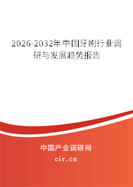 2026-2032年中國牙刷行業(yè)調研與發(fā)展趨勢報告