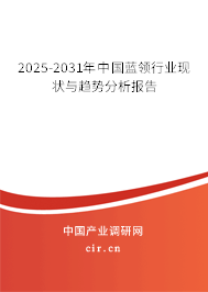 2025-2031年中國藍領(lǐng)行業(yè)現(xiàn)狀與趨勢分析報告