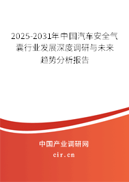 2025-2031年中國汽車安全氣囊行業(yè)發(fā)展深度調(diào)研與未來趨勢分析報(bào)告