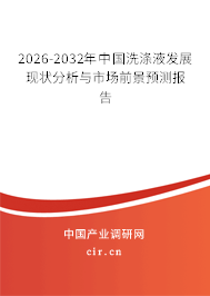 2026-2032年中國洗滌液發(fā)展現(xiàn)狀分析與市場前景預測報告
