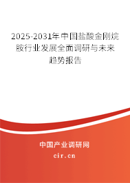 2025-2031年中國鹽酸金剛烷胺行業(yè)發(fā)展全面調(diào)研與未來趨勢(shì)報(bào)告