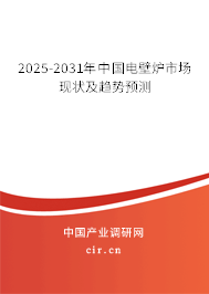 2025-2031年中國電壁爐市場現(xiàn)狀及趨勢預(yù)測