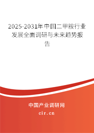 2025-2031年中國二甲胺行業(yè)發(fā)展全面調(diào)研與未來趨勢報告