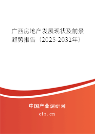 廣西房地產(chǎn)發(fā)展現(xiàn)狀及前景趨勢報(bào)告（2025-2031年）