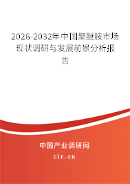 2026-2032年中國聚醚胺市場現(xiàn)狀調(diào)研與發(fā)展前景分析報告