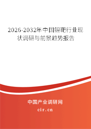 2026-2032年中國鉭靶行業(yè)現(xiàn)狀調(diào)研與前景趨勢(shì)報(bào)告