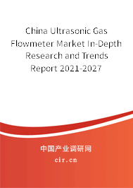 China Ultrasonic Gas Flowmeter Market In-Depth Research and Trends Report 2021-2027