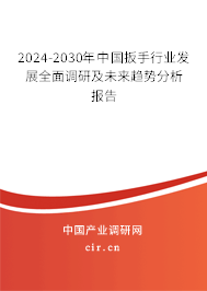 2024-2030年中國扳手行業(yè)發(fā)展全面調研及未來趨勢分析報告