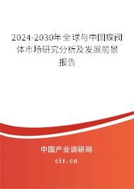 2024-2030年全球與中國蝶閥體市場研究分析及發(fā)展前景報告