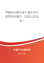 中國電動兩輪車行業(yè)現(xiàn)狀與趨勢預(yù)測報告（2025-2031年）
