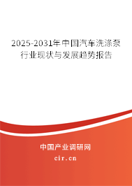 2025-2031年中國汽車洗滌泵行業(yè)現(xiàn)狀與發(fā)展趨勢報告