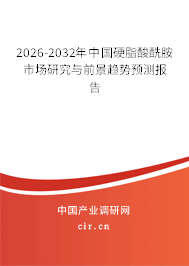 2026-2032年中國硬脂酸酰胺市場研究與前景趨勢預(yù)測報告