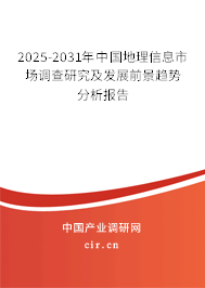 2025-2031年中國地理信息市場調(diào)查研究及發(fā)展前景趨勢分析報告