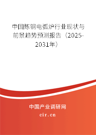 中國煉鋼電弧爐行業(yè)現(xiàn)狀與前景趨勢預(yù)測報告（2025-2031年）