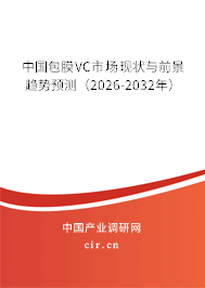 中國包膜VC市場現(xiàn)狀與前景趨勢預測（2026-2032年）