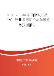 2026-2032年中國(guó)聚酰亞胺（PI）行業(yè)發(fā)展研究與前景趨勢(shì)預(yù)測(cè)報(bào)告