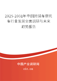 2025-2031年中國跨騎車摩托車行業(yè)發(fā)展全面調(diào)研與未來趨勢報(bào)告