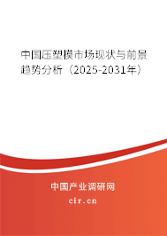 中國壓塑模市場現(xiàn)狀與前景趨勢分析（2025-2031年）