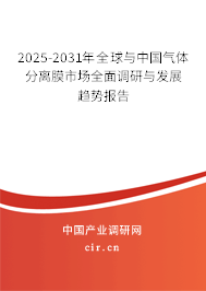 2025-2031年全球與中國氣體分離膜市場全面調研與發(fā)展趨勢報告