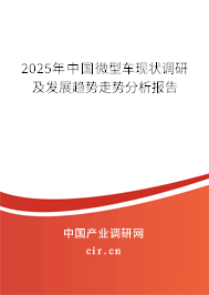 2025年中國微型車現(xiàn)狀調(diào)研及發(fā)展趨勢走勢分析報告