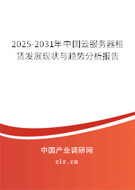 2025-2031年中國云服務(wù)器租賃發(fā)展現(xiàn)狀與趨勢分析報告