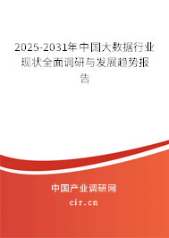2025-2031年中國(guó)大數(shù)據(jù)行業(yè)現(xiàn)狀全面調(diào)研與發(fā)展趨勢(shì)報(bào)告