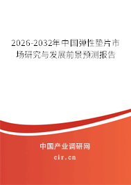 2026-2032年中國彈性墊片市場研究與發(fā)展前景預(yù)測報(bào)告