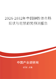 2026-2032年中國彈性體市場現(xiàn)狀與前景趨勢預(yù)測報告