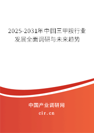2025-2031年中國(guó)三甲胺行業(yè)發(fā)展全面調(diào)研與未來(lái)趨勢(shì)