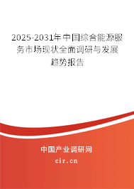 2025-2031年中國綜合能源服務(wù)市場現(xiàn)狀全面調(diào)研與發(fā)展趨勢報告
