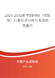 2025-2031年中國純堿（碳酸鈉）行業(yè)現(xiàn)狀分析與發(fā)展趨勢報告