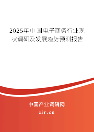 2025年中國電子商務(wù)行業(yè)現(xiàn)狀調(diào)研及發(fā)展趨勢(shì)預(yù)測(cè)報(bào)告