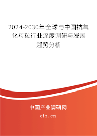 2024-2030年全球與中國(guó)抗氧化母粒行業(yè)深度調(diào)研與發(fā)展趨勢(shì)分析