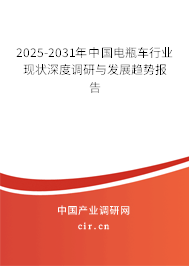 2025-2031年中國(guó)電瓶車行業(yè)現(xiàn)狀深度調(diào)研與發(fā)展趨勢(shì)報(bào)告