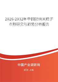 2026-2032年中國鈀納米粒子市場研究與趨勢分析報告