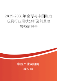 2025-2031年全球與中國(guó)磁力玩具行業(yè)現(xiàn)狀分析及前景趨勢(shì)預(yù)測(cè)報(bào)告