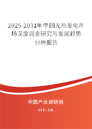 2025-2031年中國光熱發(fā)電市場深度調(diào)查研究與發(fā)展趨勢分析報告