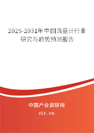 2025-2031年中國流量計行業(yè)研究與趨勢預(yù)測報告
