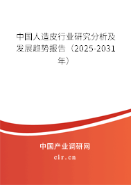 中國人造皮行業(yè)研究分析及發(fā)展趨勢報告（2025-2031年）
