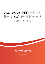 2025-2031年中國(guó)發(fā)動(dòng)機(jī)控制單元（ECU）行業(yè)研究與市場(chǎng)前景分析報(bào)告