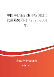 中國牛仔服行業(yè)市場調(diào)研與發(fā)展趨勢預(yù)測（2025-2031年）