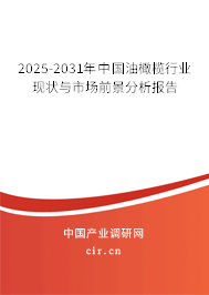 2025-2031年中國油橄欖行業(yè)現(xiàn)狀與市場前景分析報告