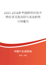 2025-2031年中國聚砜樹脂市場現狀深度調研與發(fā)展趨勢分析報告