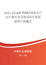 2025-2031年中國終端安全產(chǎn)品行業(yè)現(xiàn)狀深度調(diào)研與發(fā)展趨勢分析報告